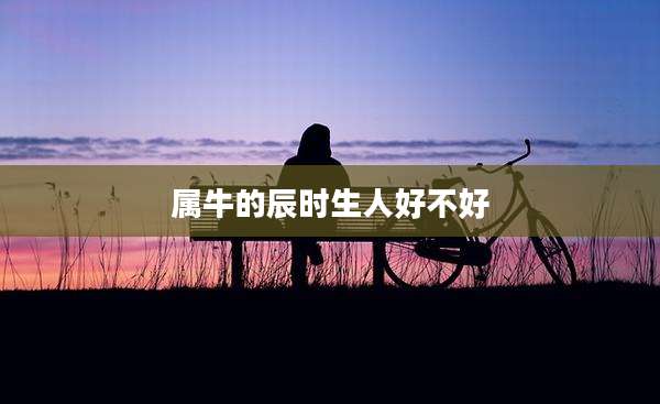 属牛的辰时生人好不好