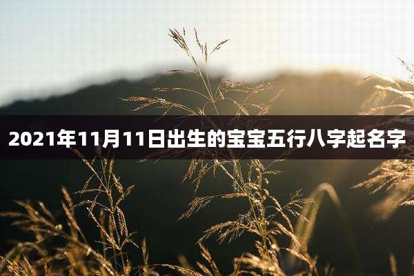 2021年11月11日出生的宝宝五行八字起名字