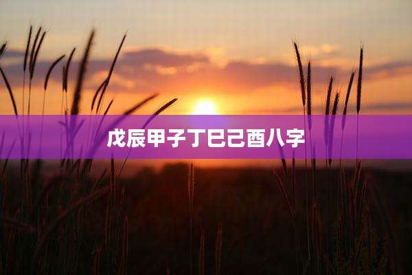 戊辰甲子丁巳己酉八字