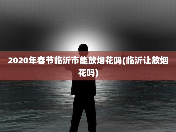 2020年春节临沂市能放烟花吗(临沂让放烟花吗)
