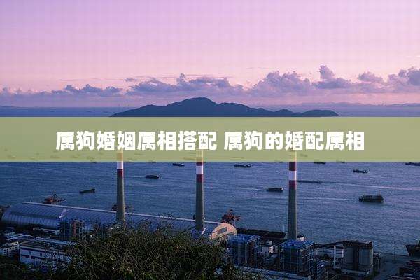 属狗婚姻属相搭配 属狗的婚配属相