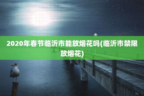 2020年春节临沂市能放烟花吗(临沂市禁限放烟花)