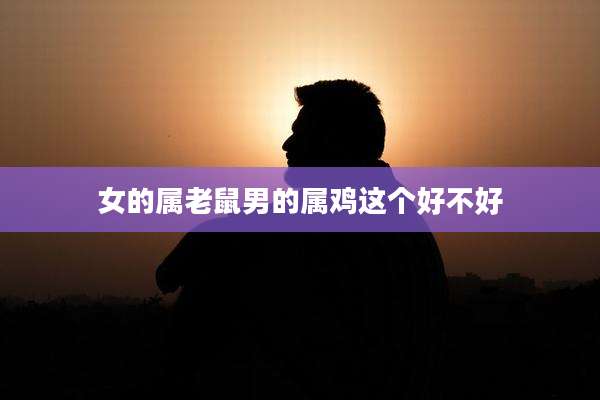 女的属老鼠男的属鸡这个好不好