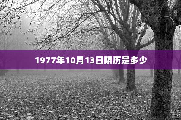 1977年10月13日阴历是多少