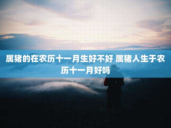 属猪的在农历十一月生好不好 属猪人生于农历十一月好吗