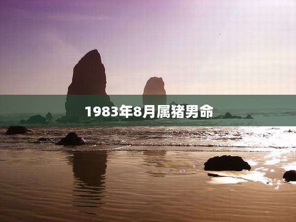1983年8月属猪男命