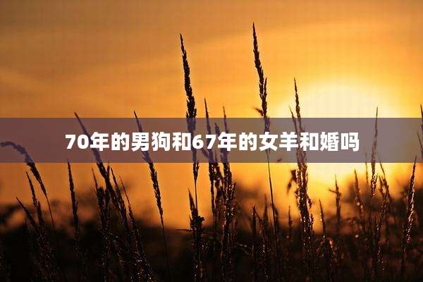 70年的男狗和67年的女羊和婚吗