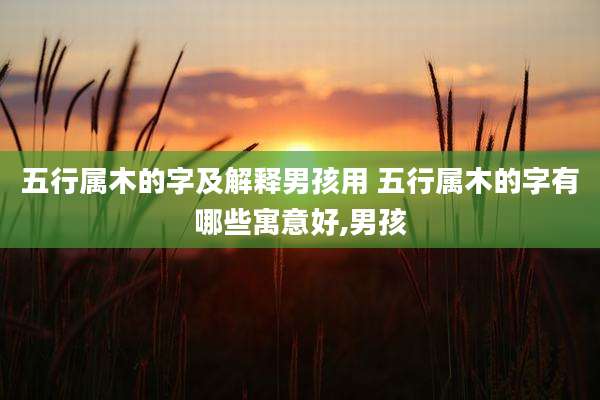五行属木的字及解释男孩用 五行属木的字有哪些寓意好,男孩