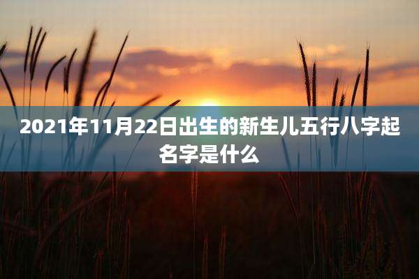 2021年11月22日出生的新生儿五行八字起名字是什么