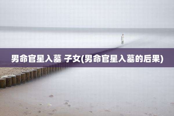 男命官星入墓 子女(男命官星入墓的后果)