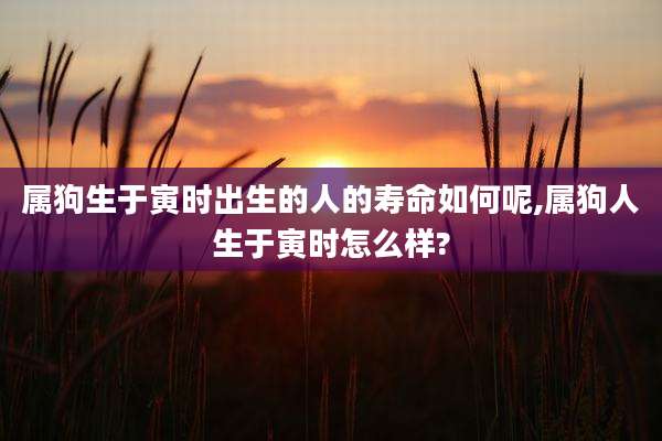 属狗生于寅时出生的人的寿命如何呢,属狗人生于寅时怎么样?