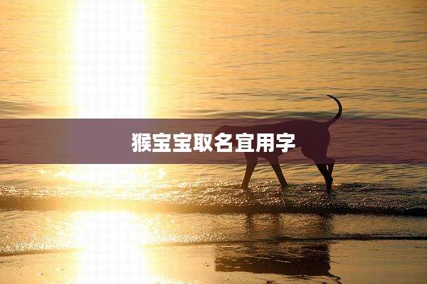 猴宝宝取名宜用字