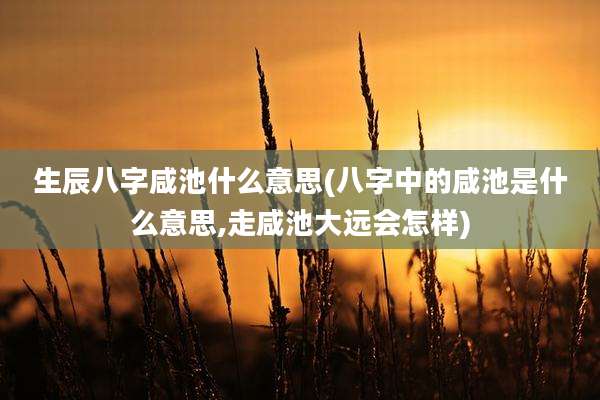 生辰八字咸池什么意思(八字中的咸池是什么意思,走咸池大远会怎样)