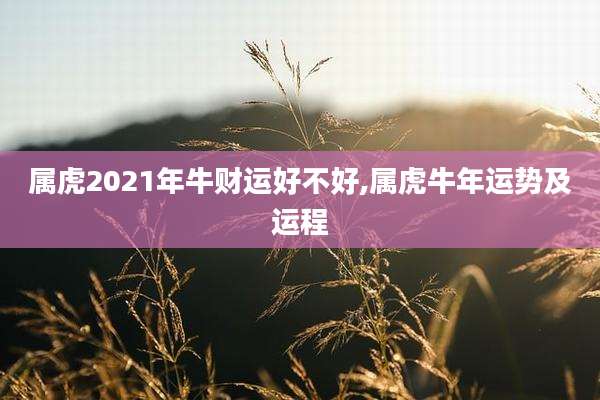 属虎2021年牛财运好不好,属虎牛年运势及运程