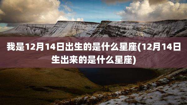 我是12月14日出生的是什么星座(12月14日生出来的是什么星座)