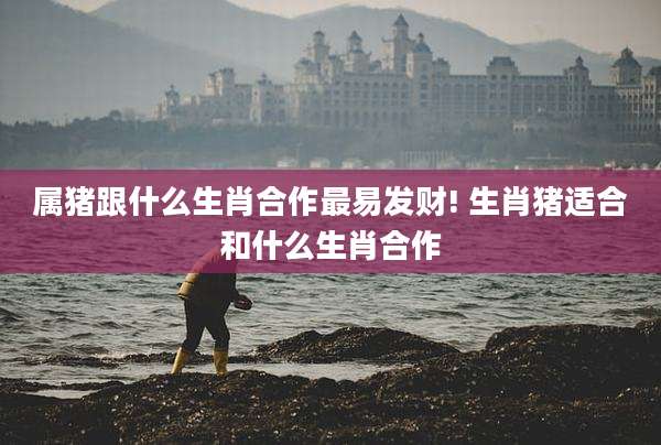 属猪跟什么生肖合作最易发财! 生肖猪适合和什么生肖合作