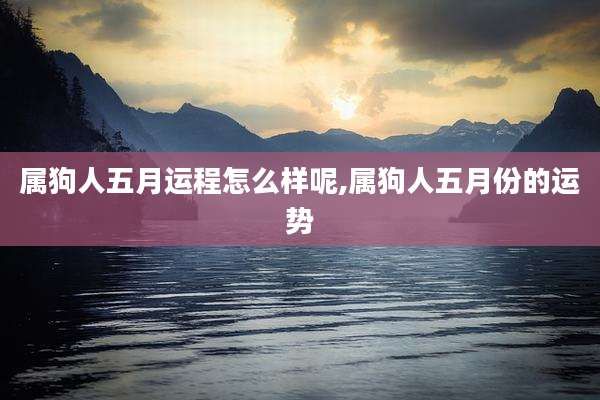 属狗人五月运程怎么样呢,属狗人五月份的运势