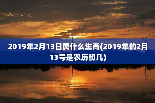 2019年2月13日属什么生肖(2019年的2月13号是农历初几)