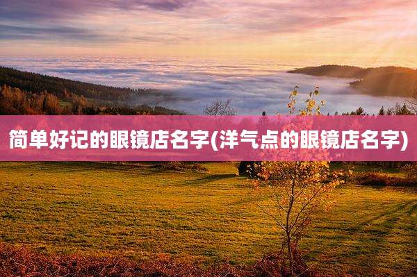简单好记的眼镜店名字(洋气点的眼镜店名字)