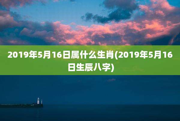 2019年5月16日属什么生肖(2019年5月16日生辰八字)