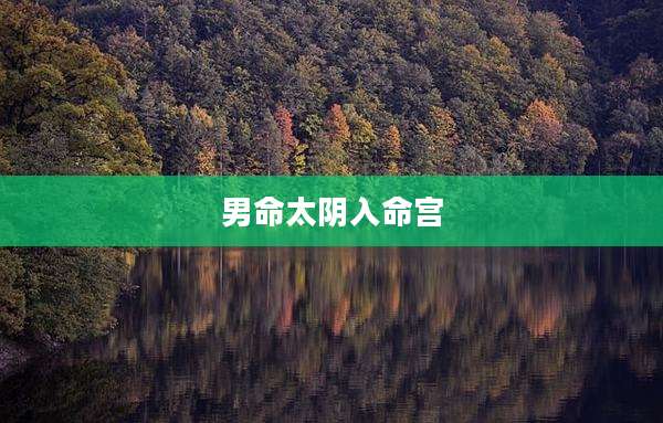 男命太阴入命宫