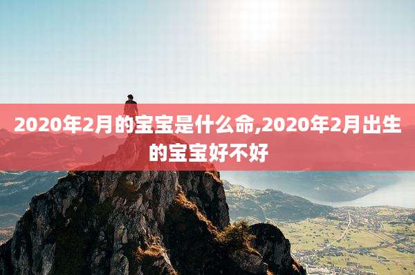 2020年2月的宝宝是什么命,2020年2月出生的宝宝好不好