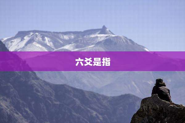 六爻是指