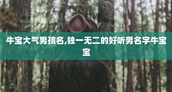 牛宝大气男孩名,独一无二的好听男名字牛宝宝
