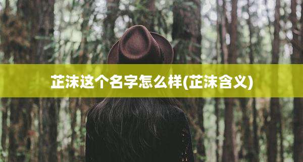芷沫这个名字怎么样(芷沫含义)