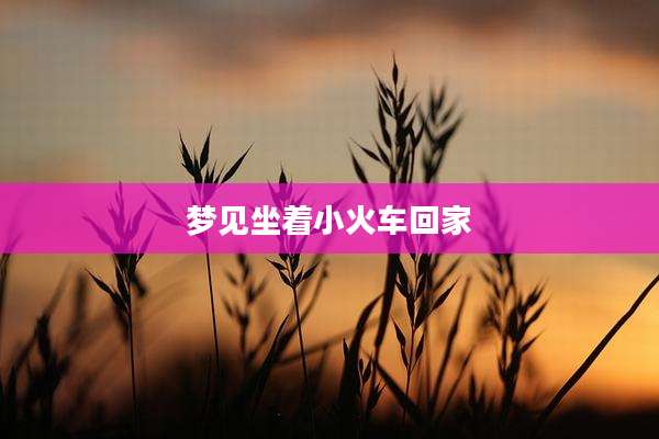 梦见坐着小火车回家