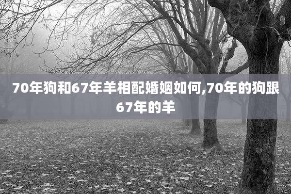 70年狗和67年羊相配婚姻如何,70年的狗跟67年的羊