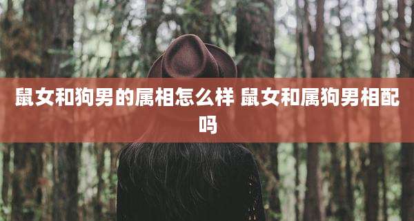 鼠女和狗男的属相怎么样 鼠女和属狗男相配吗