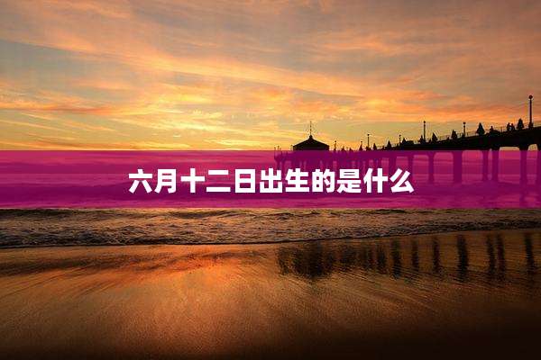 六月十二日出生的是什么