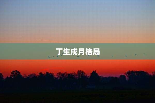 丁生戌月格局