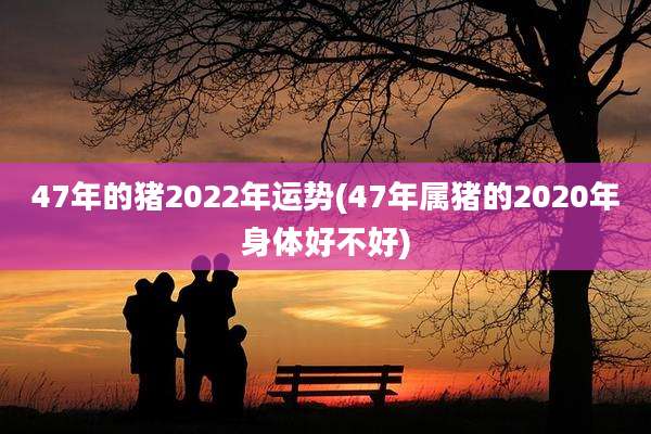 47年的猪2022年运势(47年属猪的2020年身体好不好)