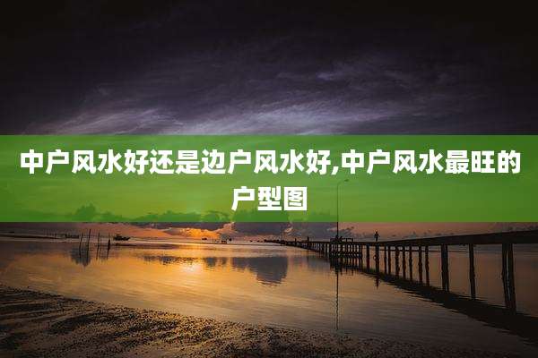 中户风水好还是边户风水好,中户风水最旺的户型图