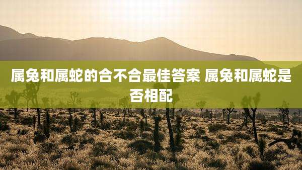 属兔和属蛇的合不合最佳答案 属兔和属蛇是否相配
