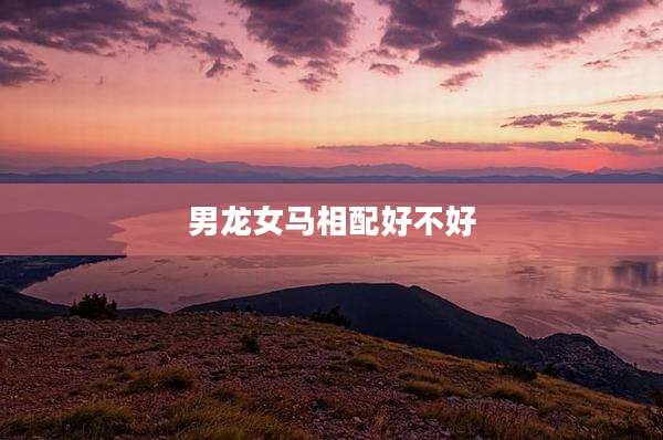 男龙女马相配好不好