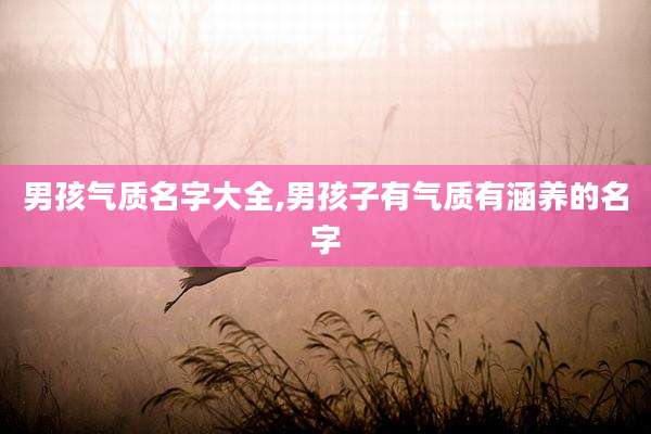 男孩气质名字大全,男孩子有气质有涵养的名字