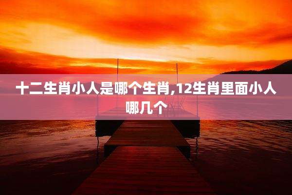 十二生肖小人是哪个生肖,12生肖里面小人哪几个