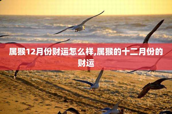 属猴12月份财运怎么样,属猴的十二月份的财运