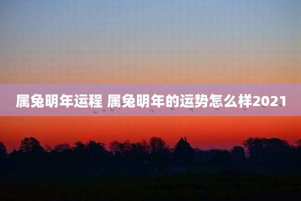 属兔明年运程 属兔明年的运势怎么样2021