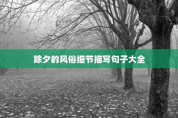 除夕的风俗细节描写句子大全