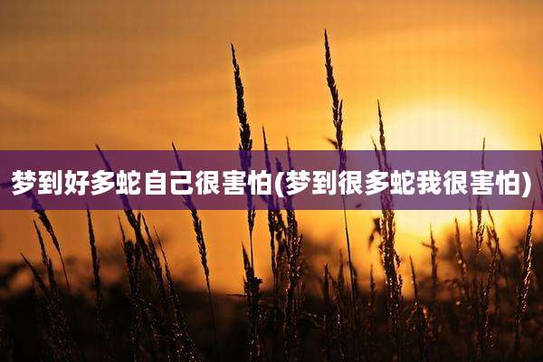 梦到好多蛇自己很害怕(梦到很多蛇我很害怕)