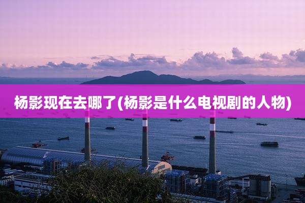 杨影现在去哪了(杨影是什么电视剧的人物)