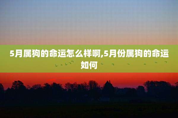 5月属狗的命运怎么样啊,5月份属狗的命运如何