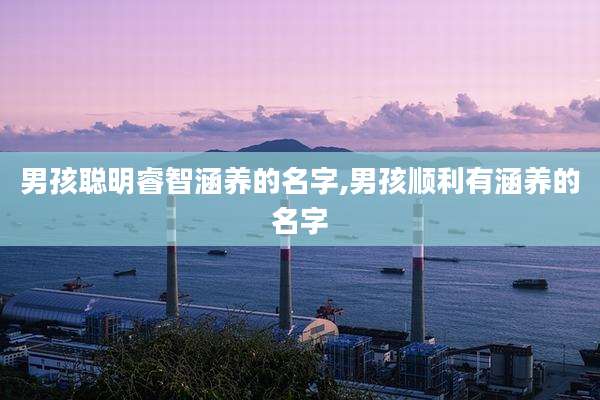 男孩聪明睿智涵养的名字,男孩顺利有涵养的名字