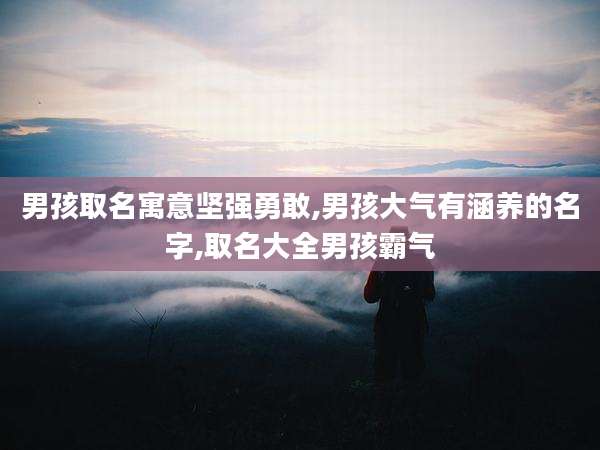 男孩取名寓意坚强勇敢,男孩大气有涵养的名字,取名大全男孩霸气