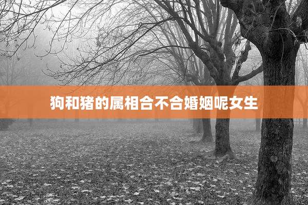 狗和猪的属相合不合婚姻呢女生