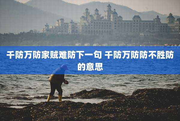 千防万防家贼难防下一句 千防万防防不胜防的意思